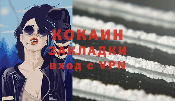 сатива Сафоново